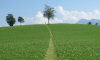 Kneippweg Langenegg