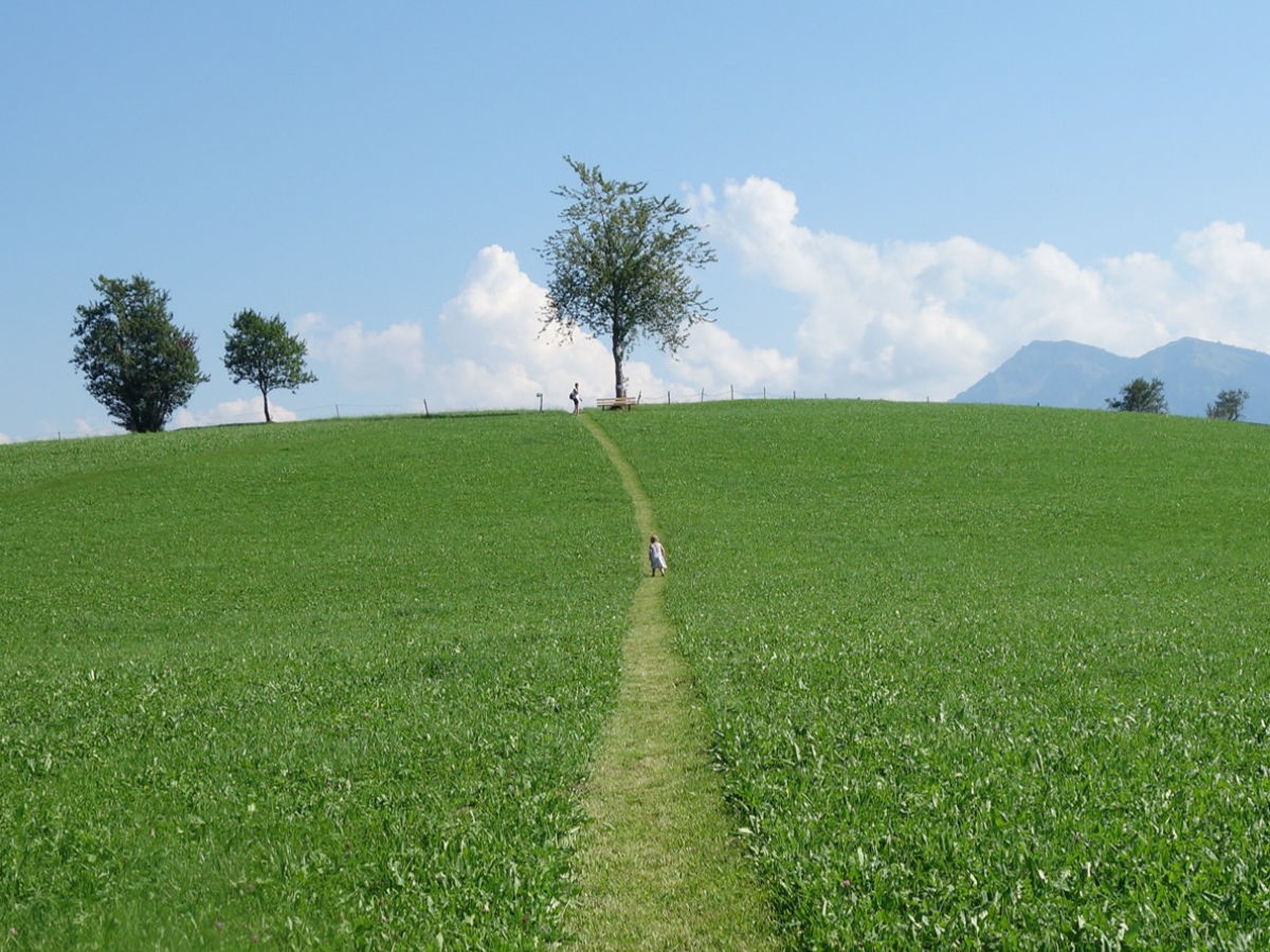 Kneippweg Langenegg