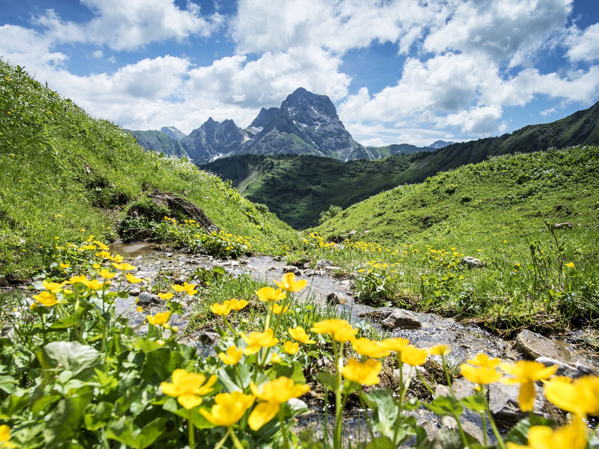 Natur bewusst erleben